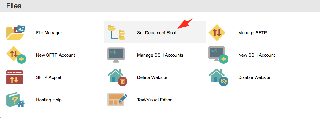 WebsiteSetDocumentRoot.png
